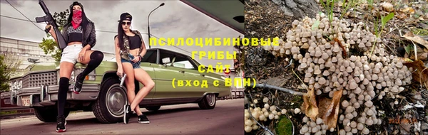 бутират Белокуриха