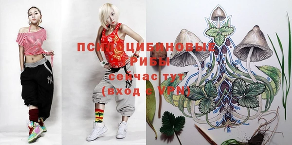 бутират Белокуриха